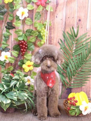 20230810きょうのちゃん